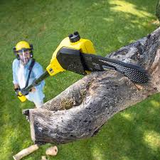 Lawn Irrigation Installation and Maintenance in Lake Landor, VA