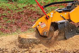 Best Tree Maintenance Programs  in Lake Landor, VA