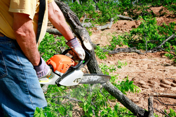 Best Aeration Services  in Lake Landor, VA